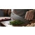 Zestaw noży Suncraft Elegancia Gyuto Petty Paring